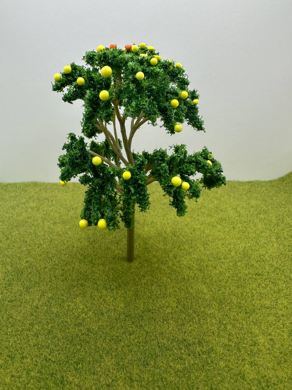 Лимонное дерево для макета SiCiTrUSkaL